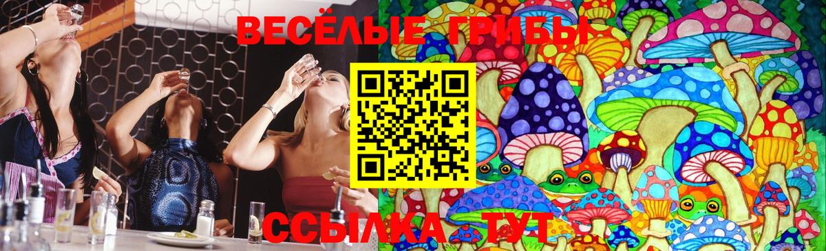 Галлюциногенные грибы прущие грибы Воткинск
