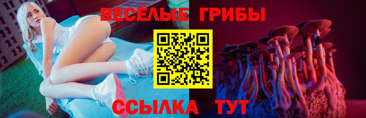 закладка  Псилоцибиновые грибы GOLDEN TEACHER  Вход с VPN  Воткинск  Псилоцибиновые грибы Cubensis 
